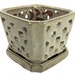 Diamond Ceramic Orchid Pot/Saucer - 5" Square - Cream