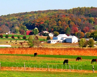 Scenic Pennsylvania Amish Autumn Horses Grazing Landscape 12x18 Limited Edition Print