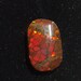 Fiery Red Canadian Ammolite