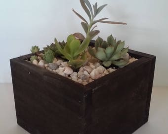 Beautiful Handmade Wood Succulent Planter