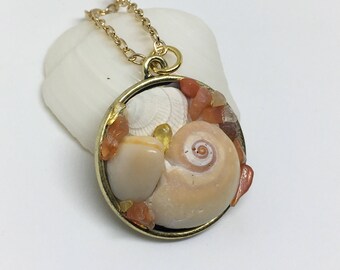 Moon shell necklace, assorted seashell necklace, beach jewelry for her, tropical jewelry, ocean inspired necklace for women