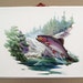 Vintage 1970's Fred Sweney Rainbow Trout Formcraft Vacuum Form 3D Print