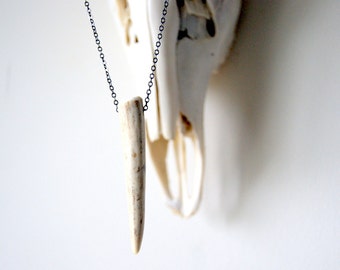 Deer Antler Tip Necklace