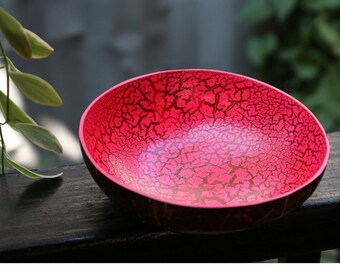 Coconut Bowl Hand Painted Decorative Multipurpose Handmade Coconut Shell Bowl (PC46)