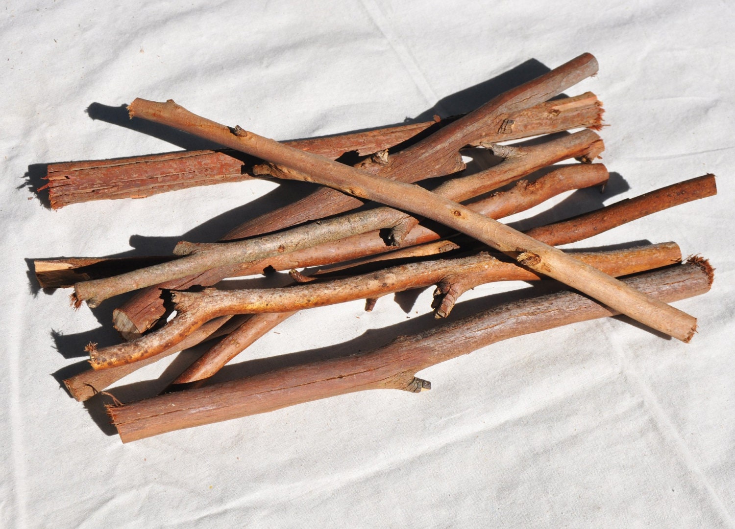 Where Is My Little Stick 10 Small sticks Nature Play Kids Sticks Bundle of Sticks