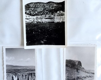 Nature 3 original Vintage prints