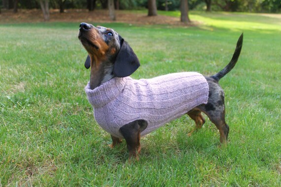 KNITTING PATTERN Top-Down Mini Dachshund Dog Sweater pet KNITTING PATTERN Top-Down Mini Dachshund Dog Sweater pet