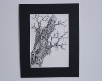 Nature Study, Pen and Ink: ornamented branch