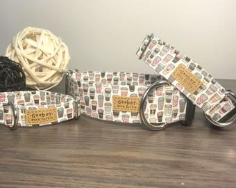 Coffee dog collar, latte, mocha, cappuccino, iced coffee
