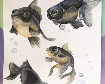Black Moor Goldfish watercolor painting