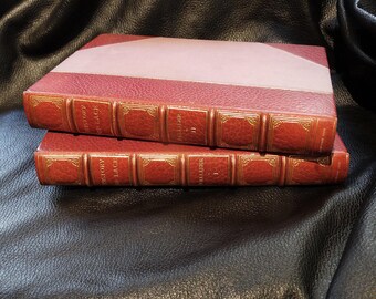 Antiquarian Books Lace History Two Volumes Palliser 1910