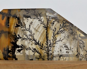 Fantastic Faceted Quartz With Dendrites