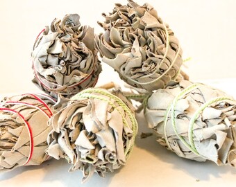 5 pk - Bulk Smudge California White Sage Stick 4' Bundles for Smudging Cleansing Blessing Negativity Clearing