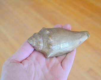 vintage small brass shell paperweight / nautical home decor / seaside beachy home