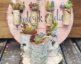 Succulent Cork Magnets and Stand Up Log Set
