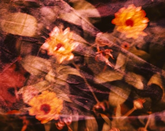 Fine Art Photography Giclee Print