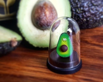 The Pet Avocado, vegan, vegan gift, birthday gift, avocado gift, miniature avocado, small gift, cute gift, avocado lover, gift