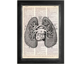 The Lungs - Vintage Anatomy Art Print on Upcycled Vintage Dictionary Paper - 8x10.5