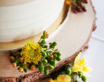 16" Rustic Wood Tree Slice Wedding Cake Base or Cupcake Stand for your Event and Party or even a Newborn Photo Prop