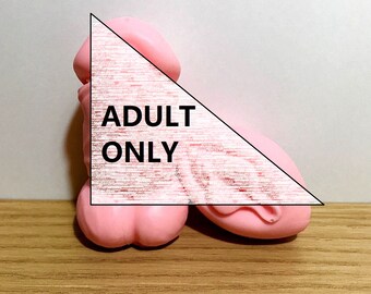 decorative soaps - gag gift - gag gift for men - gag gift for women - penis soap - vagina soap - stocking stuffer - valentine gift - mature