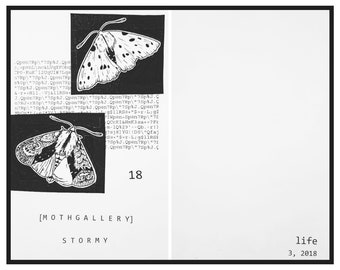 18 Zine, issue 3 "Mothgallery"