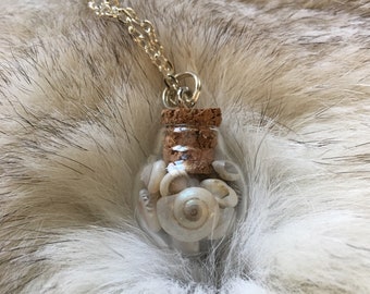 Miniature terrarium pendant - seashells