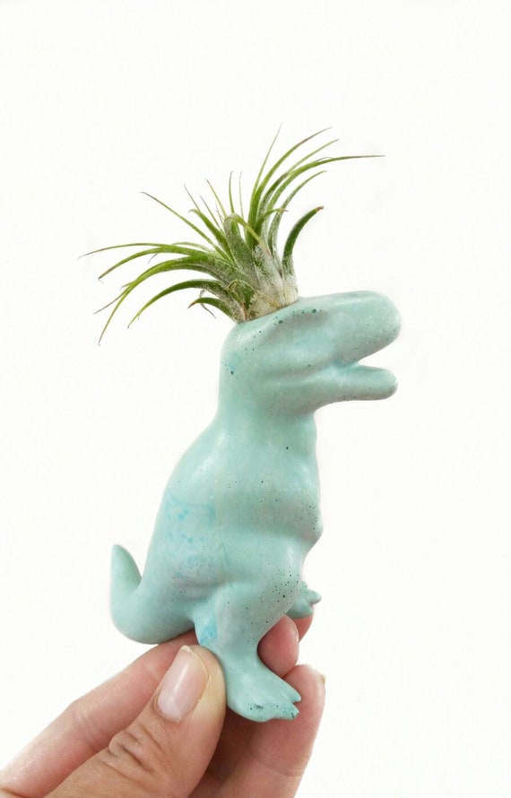 Dinosaur Concrete Planter/Air Planter/Dino/Indoor Planter/Dinosaur decor/Trex/Air Plant/Fun Planter/Office decor/Dorm Decor/Modern Planter