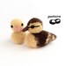 Duckling Crochet Pattern / Crochet Duckling Pattern / Chick / Baby Bird / Crochet Decoration / Easter Crochet Pattern