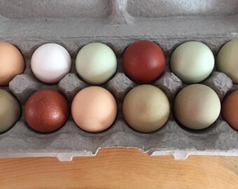 Custom egg apron for Pam