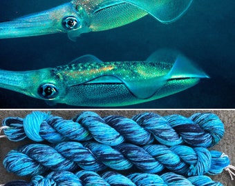Bigfin Reef Squid 20g Miniskein, blue green speckled merino nylon sock yarn