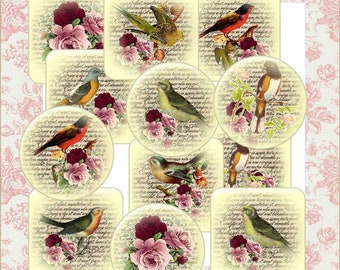 Digital Download Birds Collage Sheet
