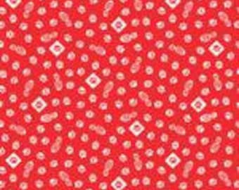 Cub Scouts Red and White Paws (Wolf) Print