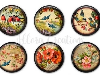 Vintage Birds and Flowers, Fridge Magnets, Magnet Set, M014