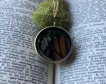 Butterfly necklace, real preserved butteryfly wing necklace