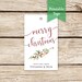 DIY Merry Christmas Tags, Printable Xmas Tags, Digital Christmas Tags, DIY Holiday Tags, Print at Home Tags