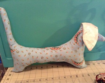 Dachsund Puppy