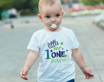 1st Birthday boy Kids T-Shirt, Childrens Toddlers T Shirt Top. little mr onederful