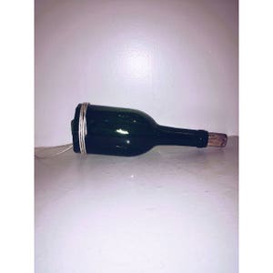 Wine bottle hanging planter