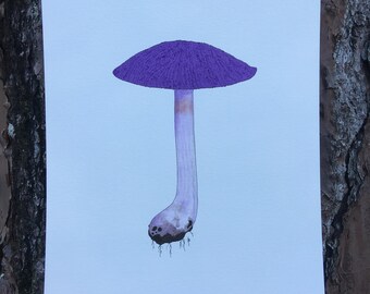 Violet webcap