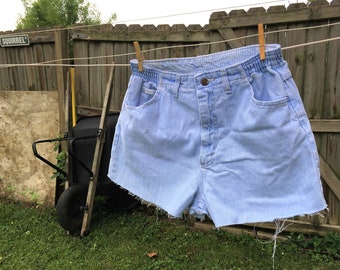 Lee Denim Shorts Size 12, Vintage Denim Shorts Size 12, Vintage Cut Off Shorts, High Waisted Shorts, High Waisted Denim Shorts, 90s Denim
