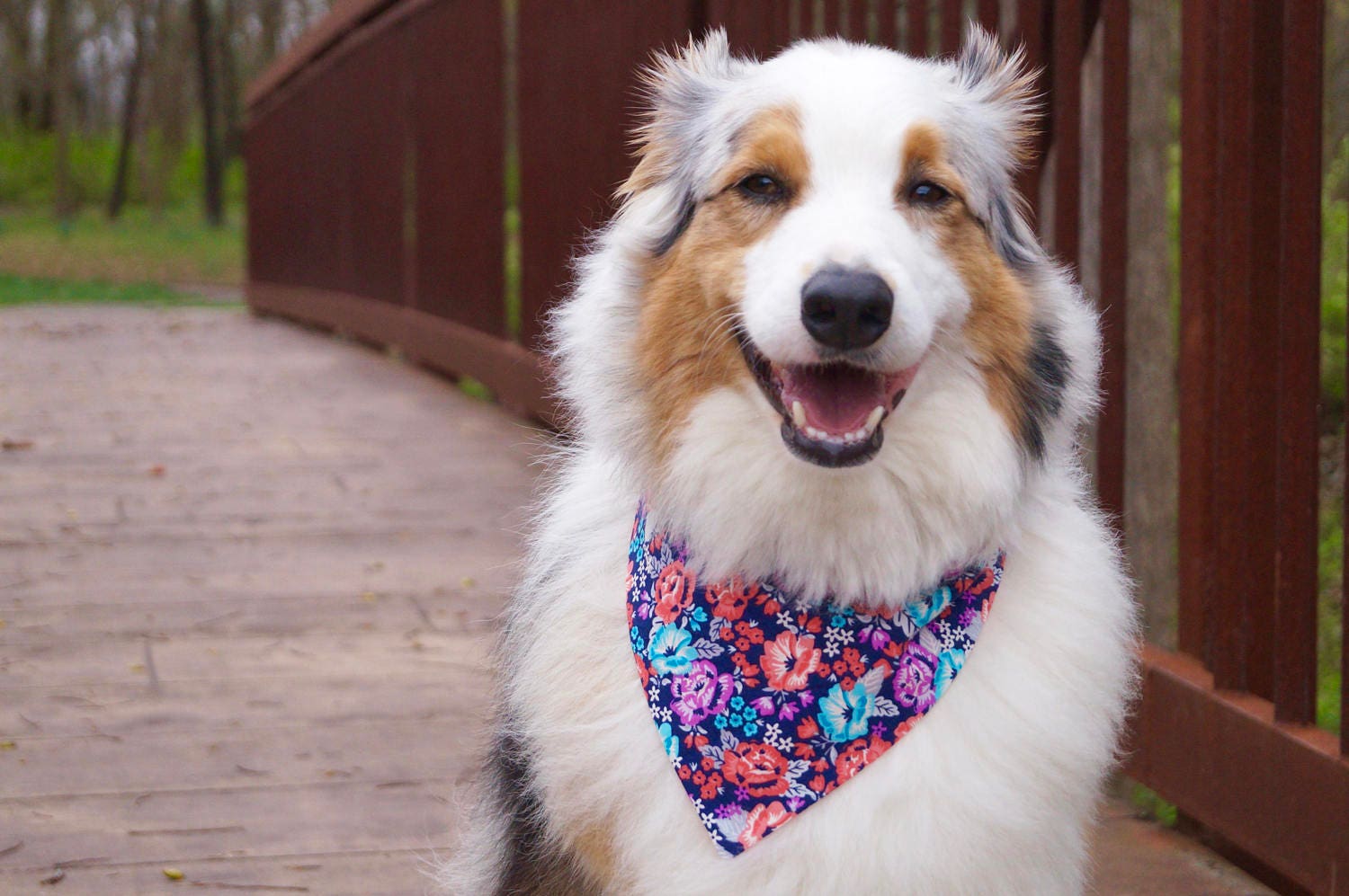Dog Bandana Floral Dog Bandanas Cute Dog Bandana Spring