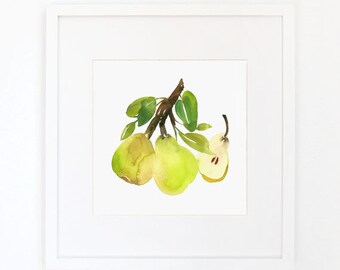 Pears - Watercolor Art Print