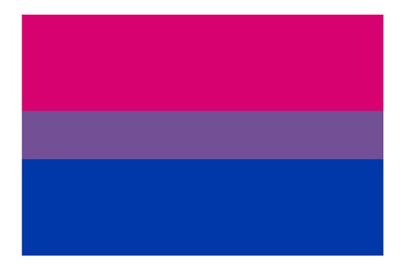 Bi Bisexual Flag LGBT Rights Support Pride Symbol Vibrant