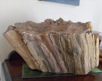 Suiseki Viewing Stone, Rugged Mountain Home Display, Petrified Wood
