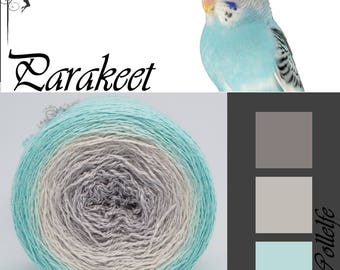 Parakeet* Merino silk Gradient Yarn hand dyed - Lace weight