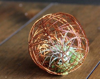 Mini Geo Ball with Living Air Plant - 3" Diameter