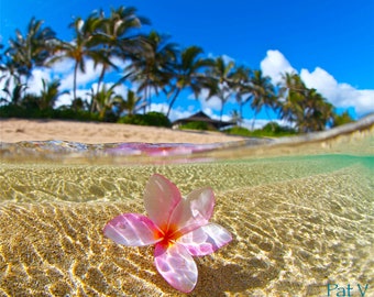 Underwater Hawaiian Plumeria PhotographyYellow Flower