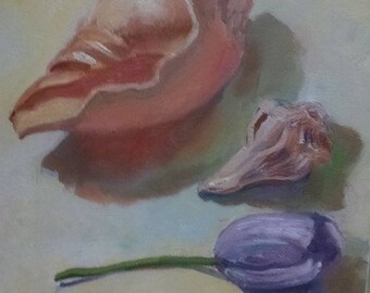 Light and Color Study with Shells