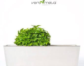 Jardinière/contenant rectangulaire 5'' x 18'' soudée en acier inoxydable pour plantes grasses/succulentes/tropicales/fines herbes
