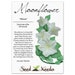 Moonflower Seeds, White (Ipomoea alba) Non-GMO Seeds by Seed Needs